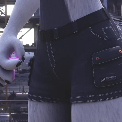 Adventure Shorts