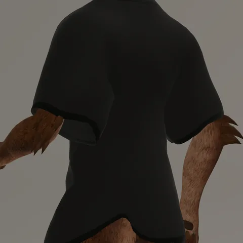 Oversized T-Shirt for Rex